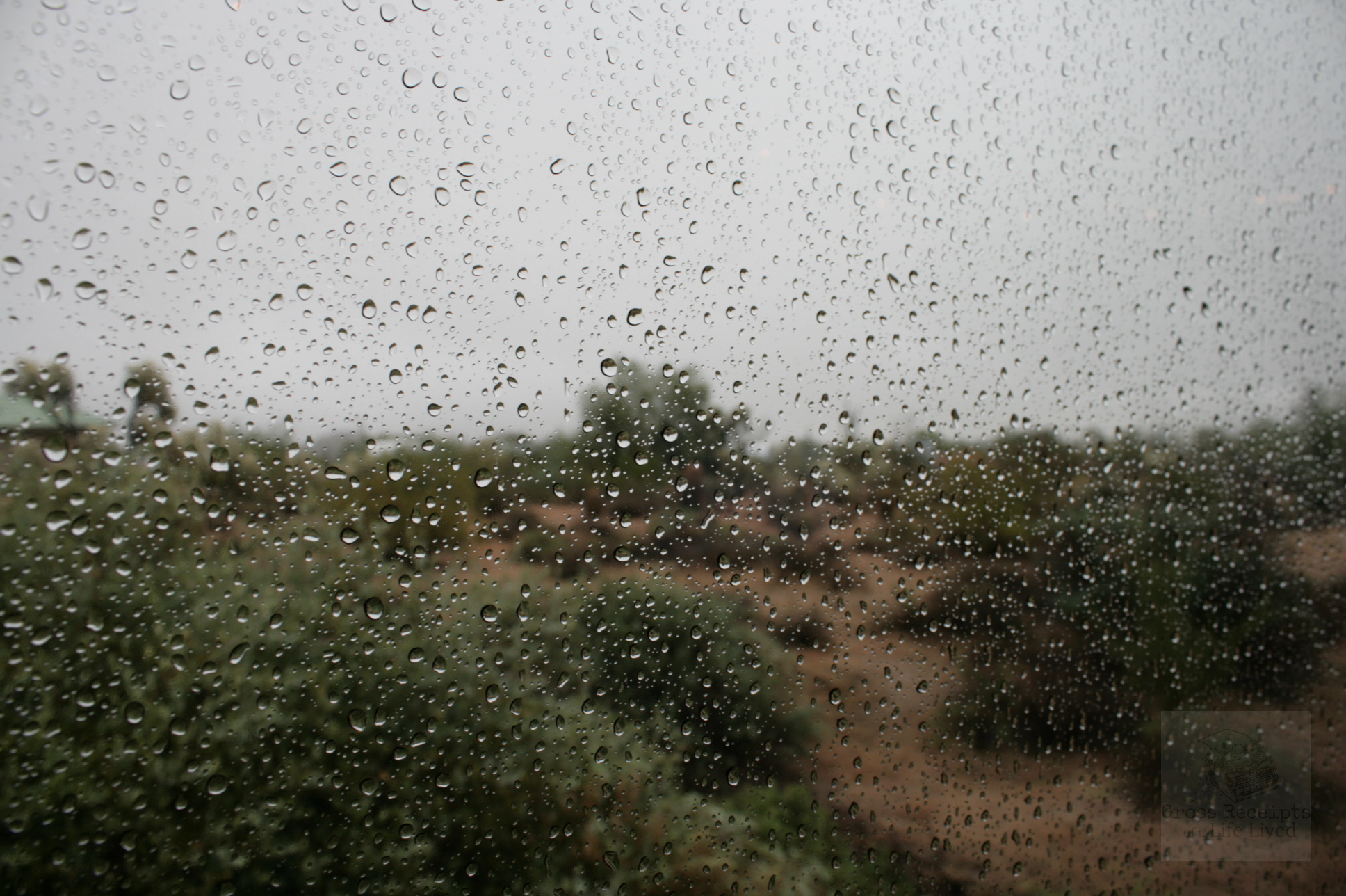 Rain drops on a window with the desert in the background.