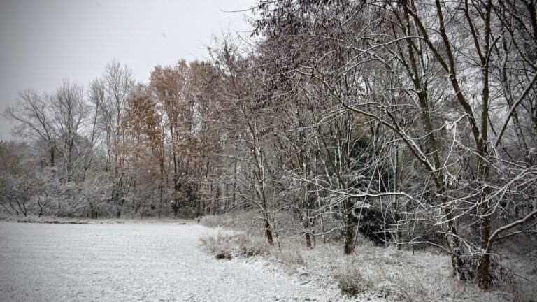 A landscape photo of snow on the ground and trees.